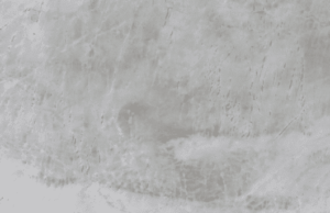 Branco Paraná Prime